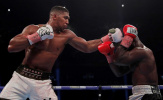 Anthony Joshua chuẩn bị thống nhất các đai hạng nặng