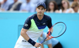 Murray úp mở khả năng rút lui khỏi Wimbledon
