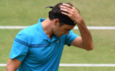 Sao trẻ Canada chẳng bất ngờ khi Federer gục ngã ở Halle Open