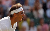Federer bị loại, Nadal cũng chẳng phải ƯCV số 1 cho ngai vàng Wimbledon