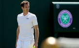 Murray: 'Rút lui khỏi Wimbledon là quyết định sáng suốt'