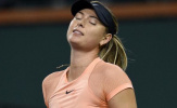Nối gót Nadal, Sharapova tuyên bố rút lui Cincinnati Masters