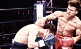 Giải Boxing HBF lần 1 – 2018: Nhiều CLB mạnh và võ sĩ nước ngoài hào hứng đăng ký