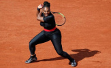Roland Garros cấm cửa trang phục 'Báo đen' của Serena
