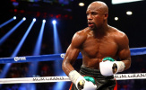 Mayweather khiến làng MMA 'việt vị'