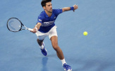 Sao tuyển Pháp ngả mũ thán phục Djokovic