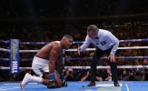 Phản ứng đối lập giữa Fury và Wilder sau thất bại TKO của Joshua