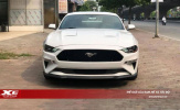 Chào đón thêm chú ‘ngựa hoang’ Ford Mustang GT 2019 về nước, giá bán 4.5 tỷ đồng