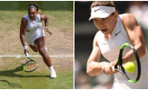 Đơn nữ Wimbledon 2019: Serena Williams và Simona Halep hẹn nhau ở chung kết