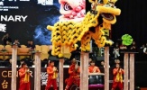 Nhơn Nghĩa Đường ghi dấu ấn tại giải Lân Sư Rồng thế giới Genting 2025