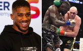 Anthony Joshua: 'Nếu cá cược, tôi chọn Fury hạ Wilder'