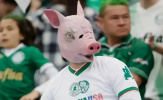 Tại sao Palmeiras và CĐV đeo mặt nạ heo ăn mừng FIFA Club World Cup