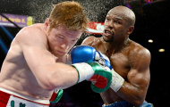 Siêu sao Canelo Alvarez tìm đường phục thù huyền thoại Floyd Mayweather