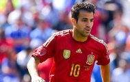 Fabregas bị loại khỏi tuyển Tây Ban Nha: Vì đâu đến nỗi
