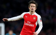 Rosicky - viên pha lê tuyệt mĩ của bóng đá thế giới