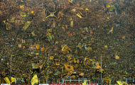 Dortmund: Khi “Bức tường vàng” sụp đổ