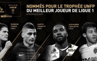 PSG thống trị giải thưởng cá nhân Ligue 1