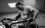 Ibrahimovic ngạo nghễ: 'Sư tử không tập luyện như người thường'