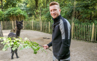 Chấn thương, hai 'anh đại' Dortmund rủ nhau vào sở thú