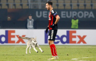 Tình huống chú chó chạy lạc trong trận đấu của Rosenborg