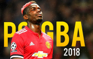Màn trình diễn của Paul Pogba trong năm 2017