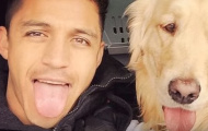 Những ngôi sao bóng đá cực yêu loài chó
