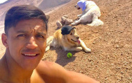 Lỡ World Cup, Alexis Sanchez giải sầu với 2 chú chó cưng
