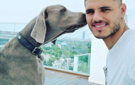 Không đi World Cup, Icardi ở nhà chơi với... chó