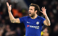 Fabregas: 'Gia đình đã phải trả giá vì chấn thương của tôi'