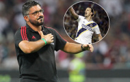 HLV Gattuso lên tiếng về tin đồn Ibrahimovic tái hợp AC Milan
