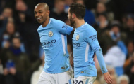 'Tôi không có đủ ngôn từ để ca ngợi Silva và Fernandinho'
