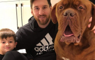 Giật mình với chú chó 'khổng lồ' Hulk của Lionel Messi
