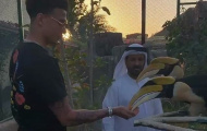 Đi dưỡng thương, Alli tranh thủ thăm thú nơi ít ngờ ở Dubai
