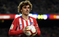 Hùm Xám nhắm thêm 1 nhà vô địch World Cup