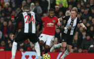 Fan Quỷ đỏ: 'Cậu ấy là Scholes tái sinh, bản nâng cấp của Herrera'