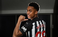 Ferdinand: 'Tôi chẳng hiểu vì sao Arsenal lại bán Willock'