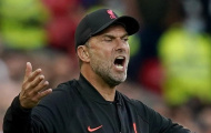 Sao Liverpool dự bị, đại diện tuyên bố Klopp phải chịu hết trách nhiệm