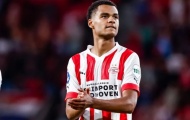 PSV từ chối 1 lời đề nghị cho Cody Gakpo