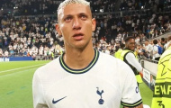 Richarlison sợ HLV Conte