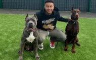 Lingard bị chỉ trích sau khi đăng ảnh động vật