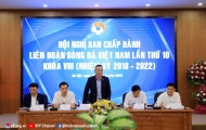VFF tiết lộ bất ngờ về ứng viên thay HLV Park Hang-seo