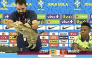 Thành viên tuyển Brazil ném con mèo trong buổi họp báo