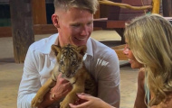 McTominay ôm hổ con gây sốt tại Dubai