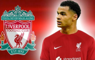 Cody Gakpo và chiến lược khôn ngoan của Liverpool