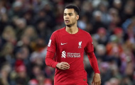 Cody Gakpo thừa nhận sự chật vật của Liverpool