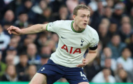 Cristian Stellini: 'Bạn cần nhìn vào mẫu cầu thủ như Oliver Skipp'