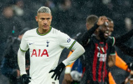 Conte: 'Richarlison không chỉ trích tôi'
