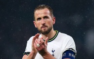Kane bối rối sau khi Conte bị sa thải