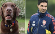 Arteta làm điều đặc biệt trên sân tập Arsenal