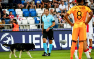'Vị khách không mời' làm gián đoạn trận đấu của Hà Lan tại U21 EURO